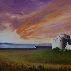 citadelle aux coquelicots